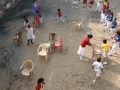 IMG-20191220-WA0046